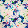 dresówka pętelka z elastanem 260g/m2 kolibry